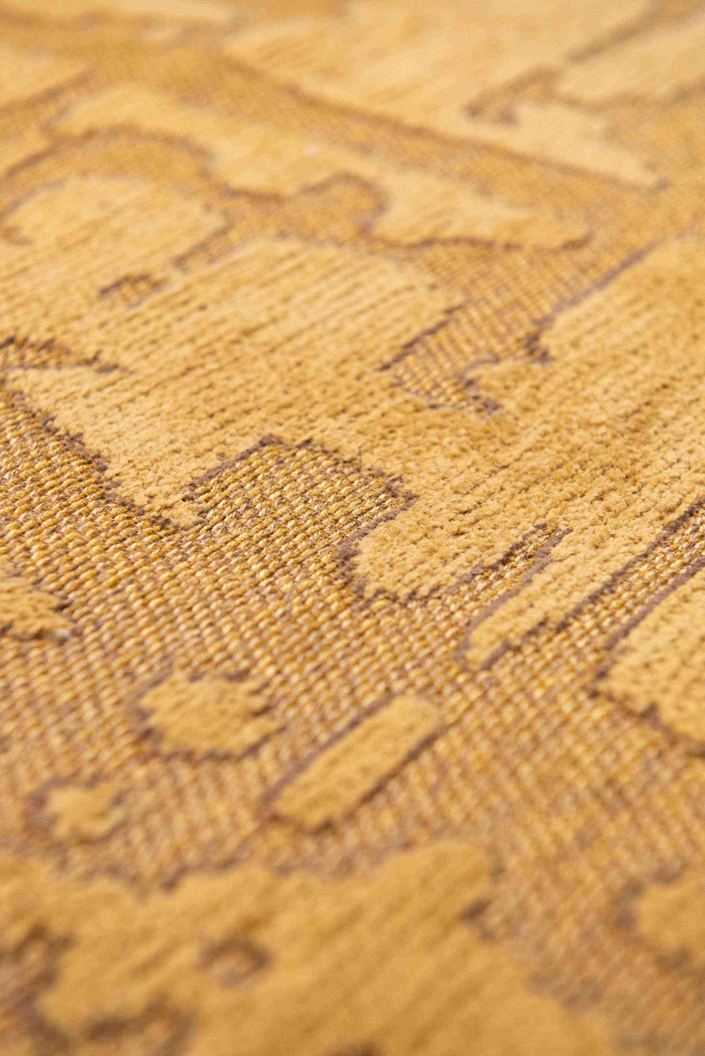 Structures Collection - Baobab in Madagascar Gold 9201