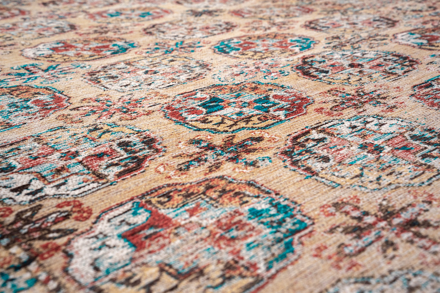 Kasak - Djamboul 9840