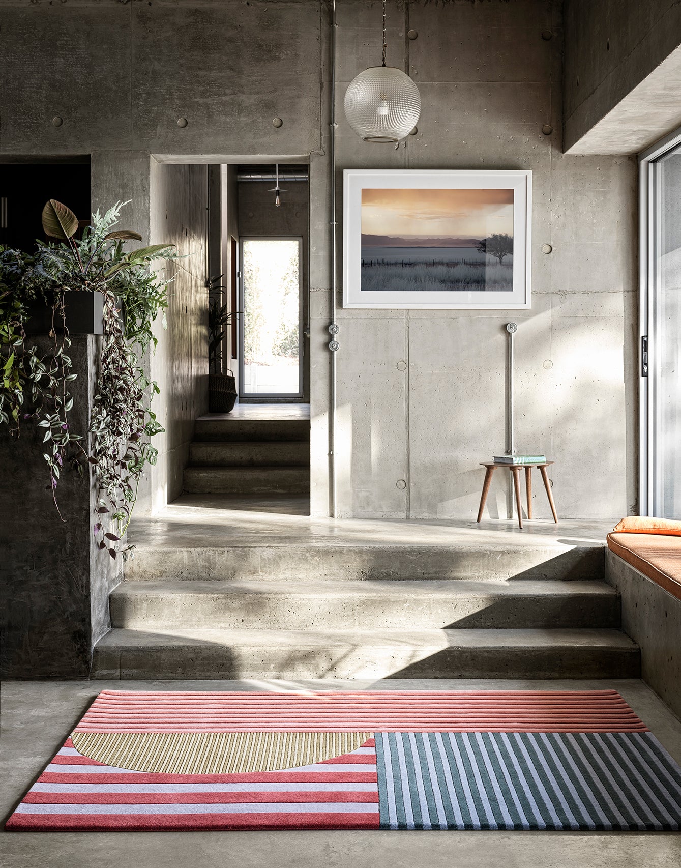 Rigg & Furrow 01 Violet