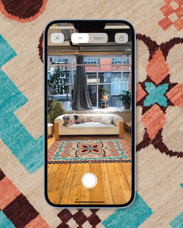 How to use our rug visualiser