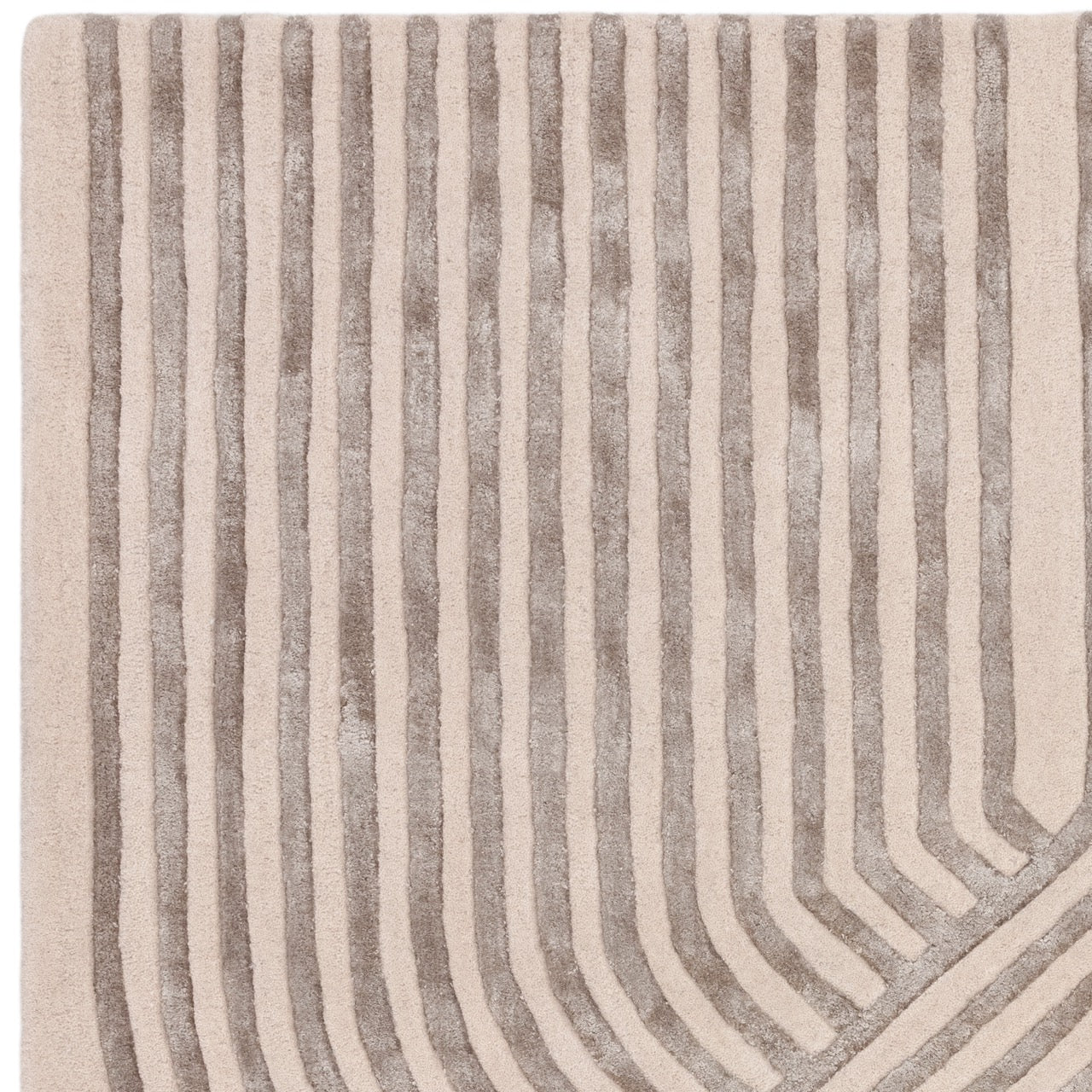 Equinox Ivory
