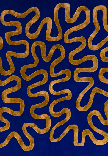 Wiggle Blue and Gold